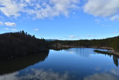 DSC_5911 (Large).JPG